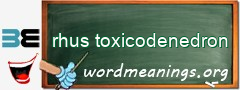 WordMeaning blackboard for rhus toxicodenedron